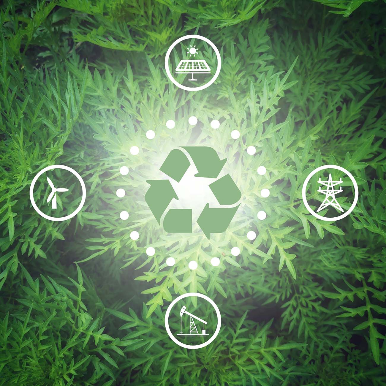 sustainable-